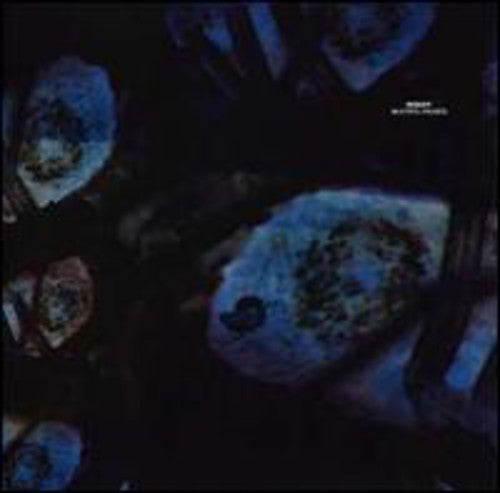 Reboot - Beautiful Parasite - Vinyl Record