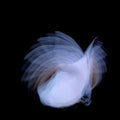 Kira Kira - Feathermagnetik - Music CD