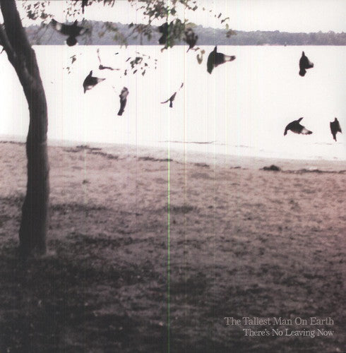 The Tallest Man on Earth - There's No Leaving Now