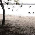 Tallest Man On Earth - There's No Leaving Now - Music CD