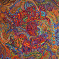 World Of Acid / Various - World Of Acid / Various - Vinyl Record
