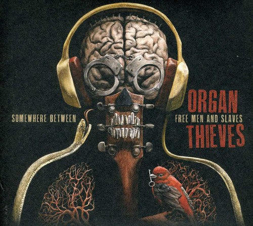 Organ Thieves - Somewhere Between Free Men & Slaves - Music CD