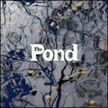 Pond / Williams,kathryn - Pond - Music CD