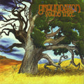 Groundation - Young Tree - Music CD