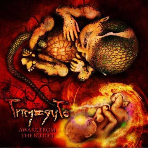 Trimegisto - Awake From Blood - Music CD