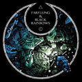 Farflung/black Rainbows - Split (clear Vinyl) - Vinyl Record
