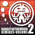 Rabbit In The Moon - Remixes 2 - Music CD