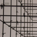 Brandlmayr,martin / Dafeldecker,werner - Till The Old World's Blown Up & A New One Is - Vinyl Record