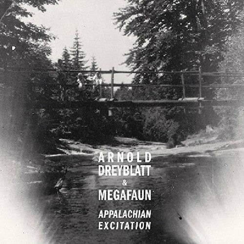 Dreyblatt,arnold & Megafaun - Appalachian Excitation - Music CD