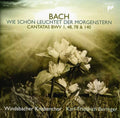 Windsbacher Knabenchor - Bach J.s: Cantatas - Music CD