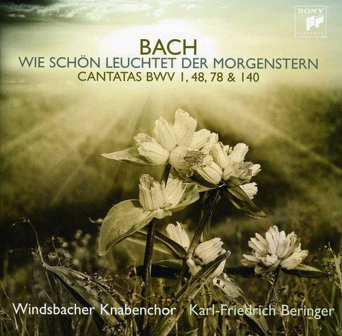Windsbacher Knabenchor - Bach J.s: Cantatas - Music CD