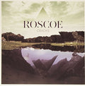 Roscoe - Cracks - Vinyl Record