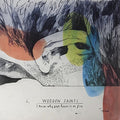 Wooden Saints - I Know Why Your House Is On Fire - Vinyl Record