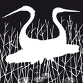 Smallpeople - Salty Days - Music CD