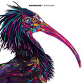 Solomun - Watergate 11 - Music CD
