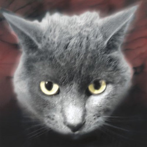 Bastards Of Fate - Who's A Fuzzy Buddy - Music CD