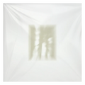 Fat White Family - Forgiveness Is Yours (Clear LP Vinyl) (I)
