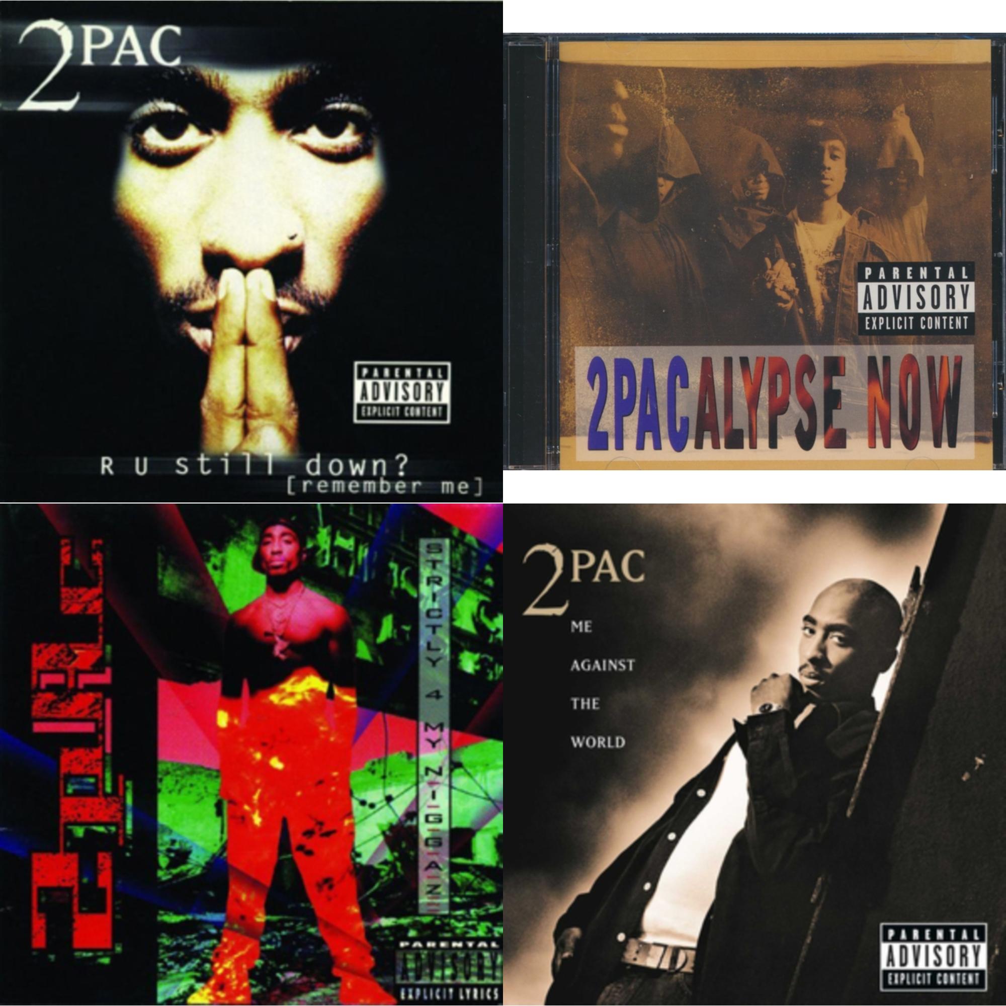 R U Still Down & 2Pacalypse Now & Strictly 4 My N.I.G.G.A.Z. & Me Against World
