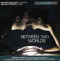 Lamproye / Lioncourt / Giacchetti / Di Marco - Between Two Worlds - Music CD