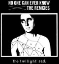 Twilight Sad - No One Can Ever Know: The Remixes - Music CD
