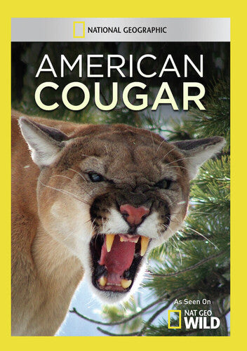 American Cougar - American Cougar - DVD