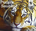 Nature Sauvage - Nature Sauvage - Music CD