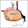 Flugel,roman - Cookie Dust - Vinyl Record