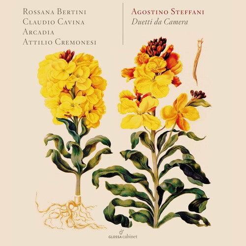 Steffani / Bertini / Cavina / Arcadia / Cremonesi - Duetti Da Camera - Music CD