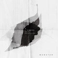 Webster - A L'ombre Des Feuilles - Music CD