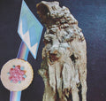Motion Sickness Of Time Travel - Motion Sickness Of Time Travel - Music CD