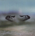 Shoes & Socks Off - Miles Of Mad Water - Vinyl Record