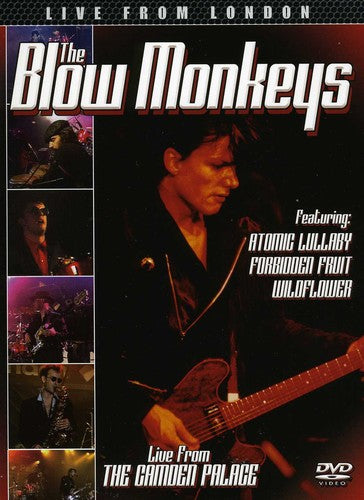Blow Monkeys - Live From London - DVD