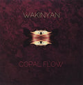 Wakinyan - Copal Flow - Vinyl Record