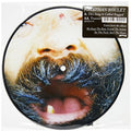 Boulet,jonathan - This Song Is Called - Vinyl Record