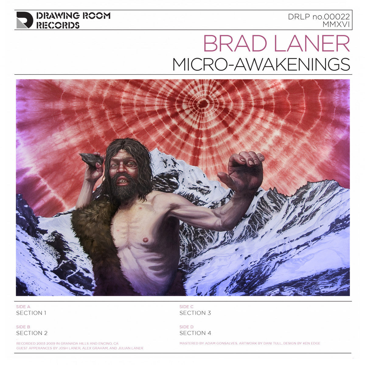 Brad Laner - Micro-Awakenings Vinyl Record