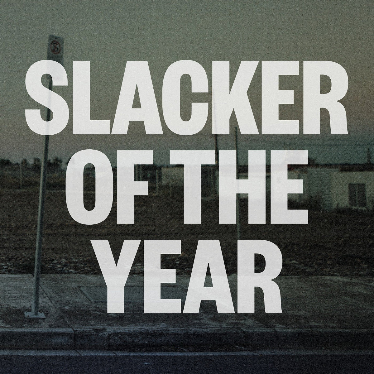 Slacker Of The Year Vinyl Record