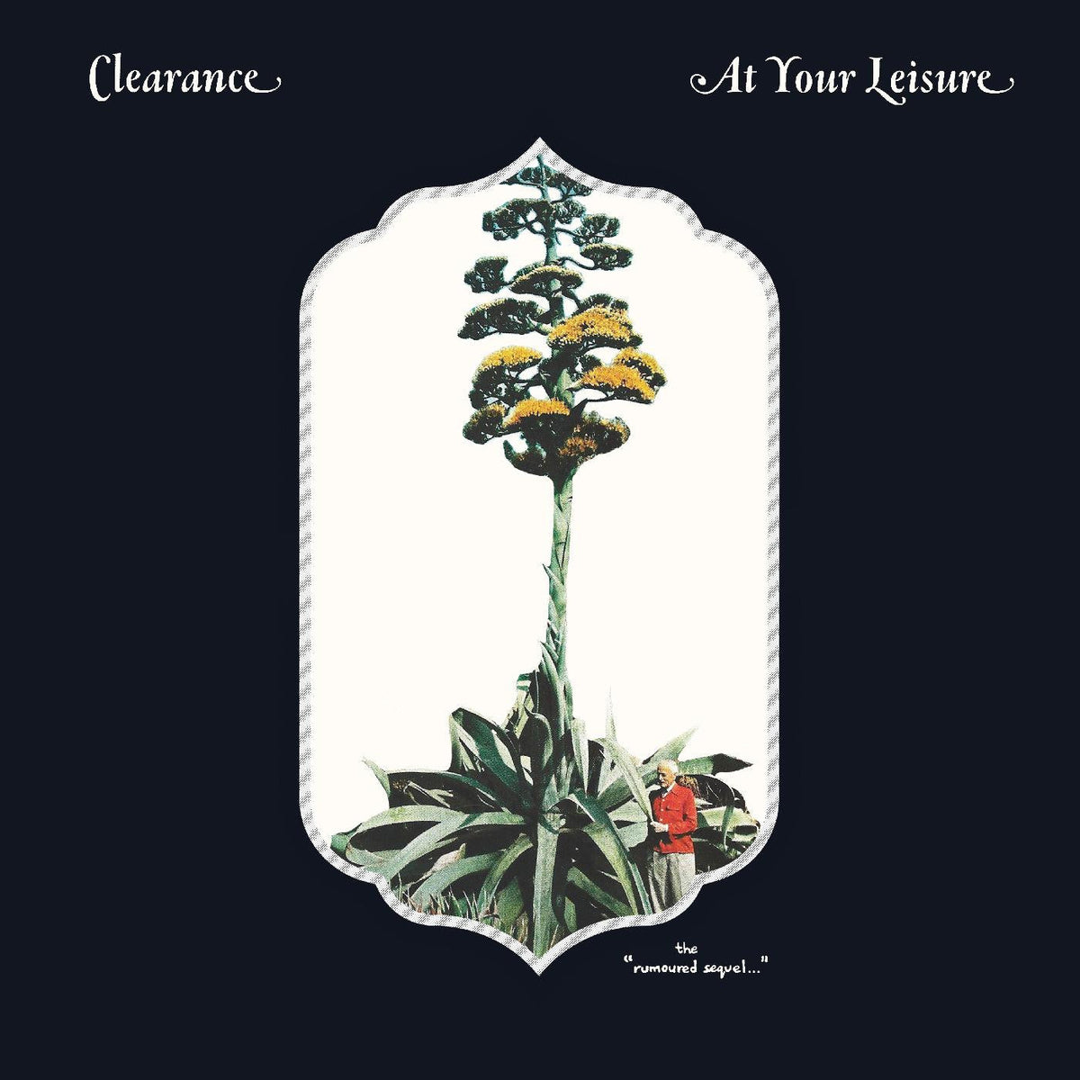 At Your Leisure Vinyl Record