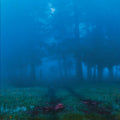 Commune Vinyl Record