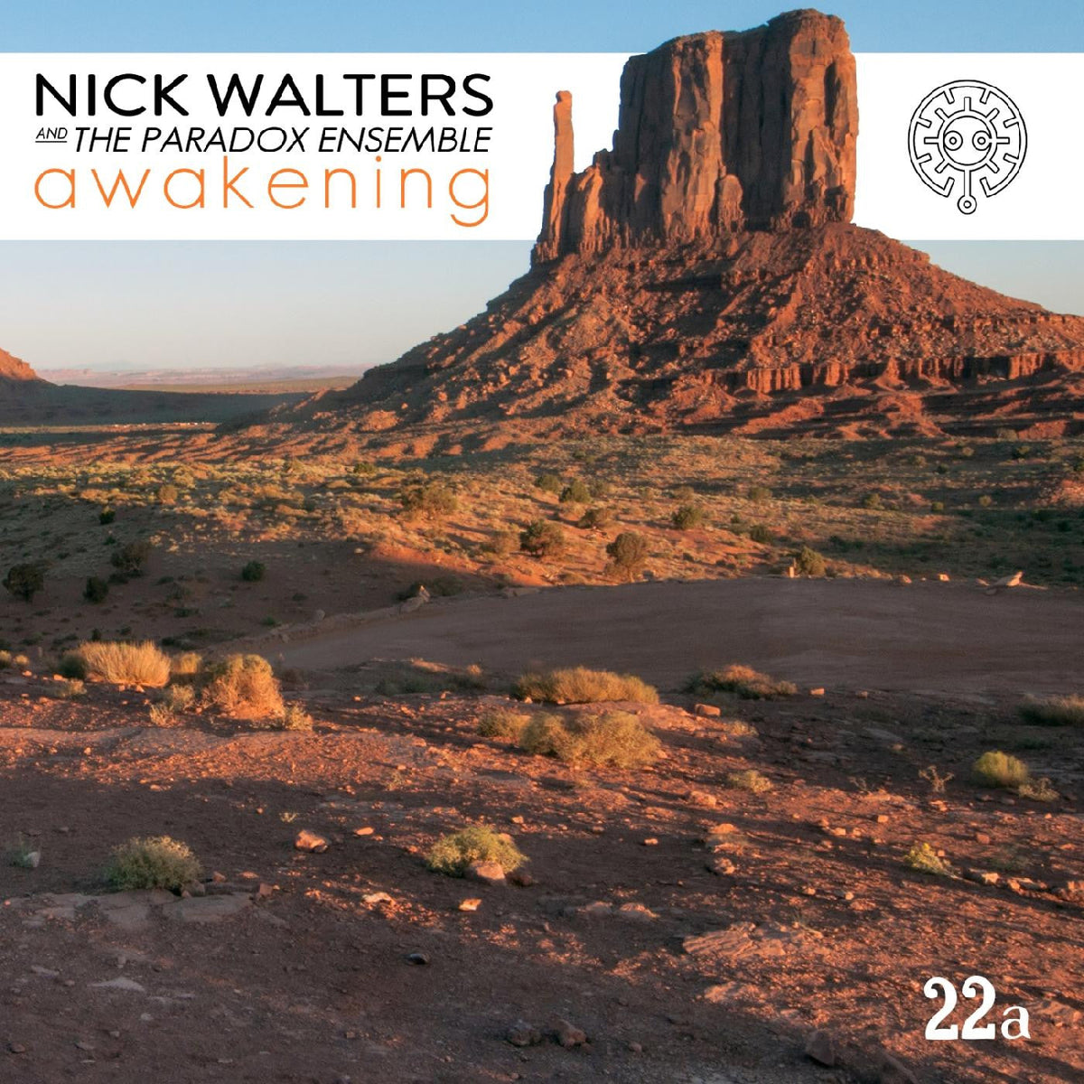 Awakening Vinyl Record