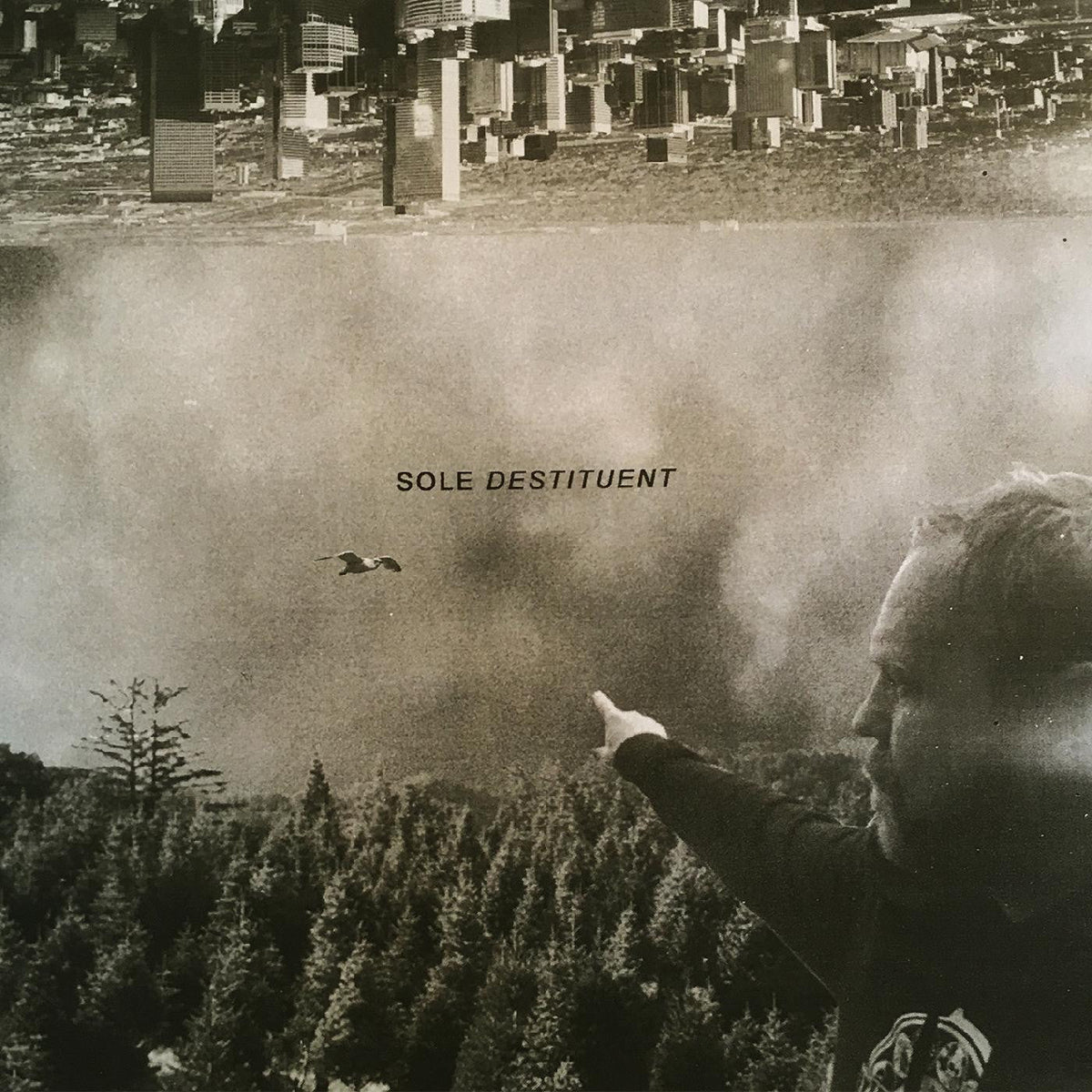 Destituent Vinyl Record