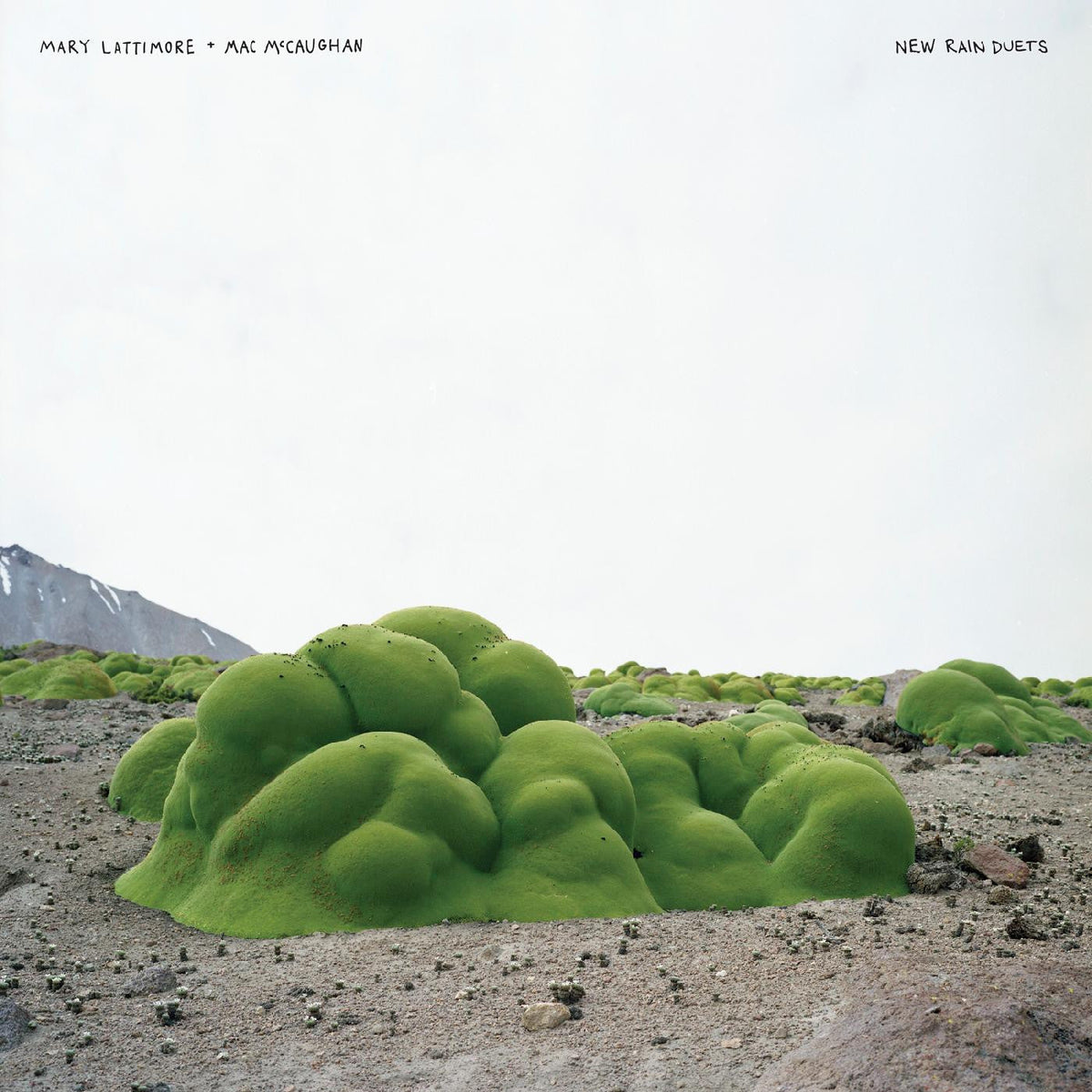 Lattimore, Mary & Mac McCaughan - New Rain Duets Vinyl Record