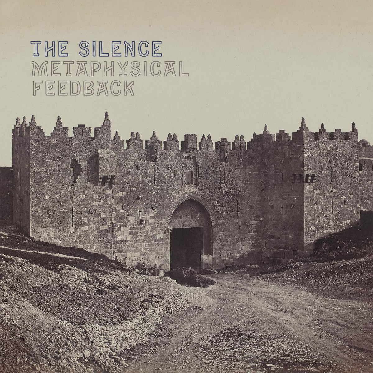 Metaphysical Feedback Vinyl Record