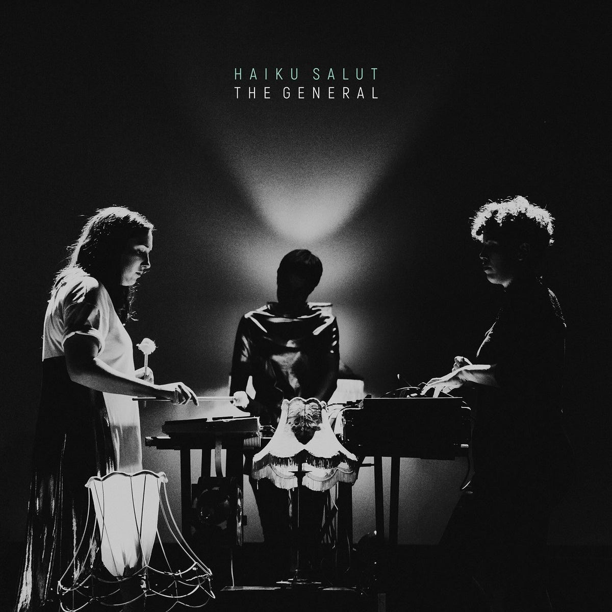 Haiku Salut - The General Vinyl Record