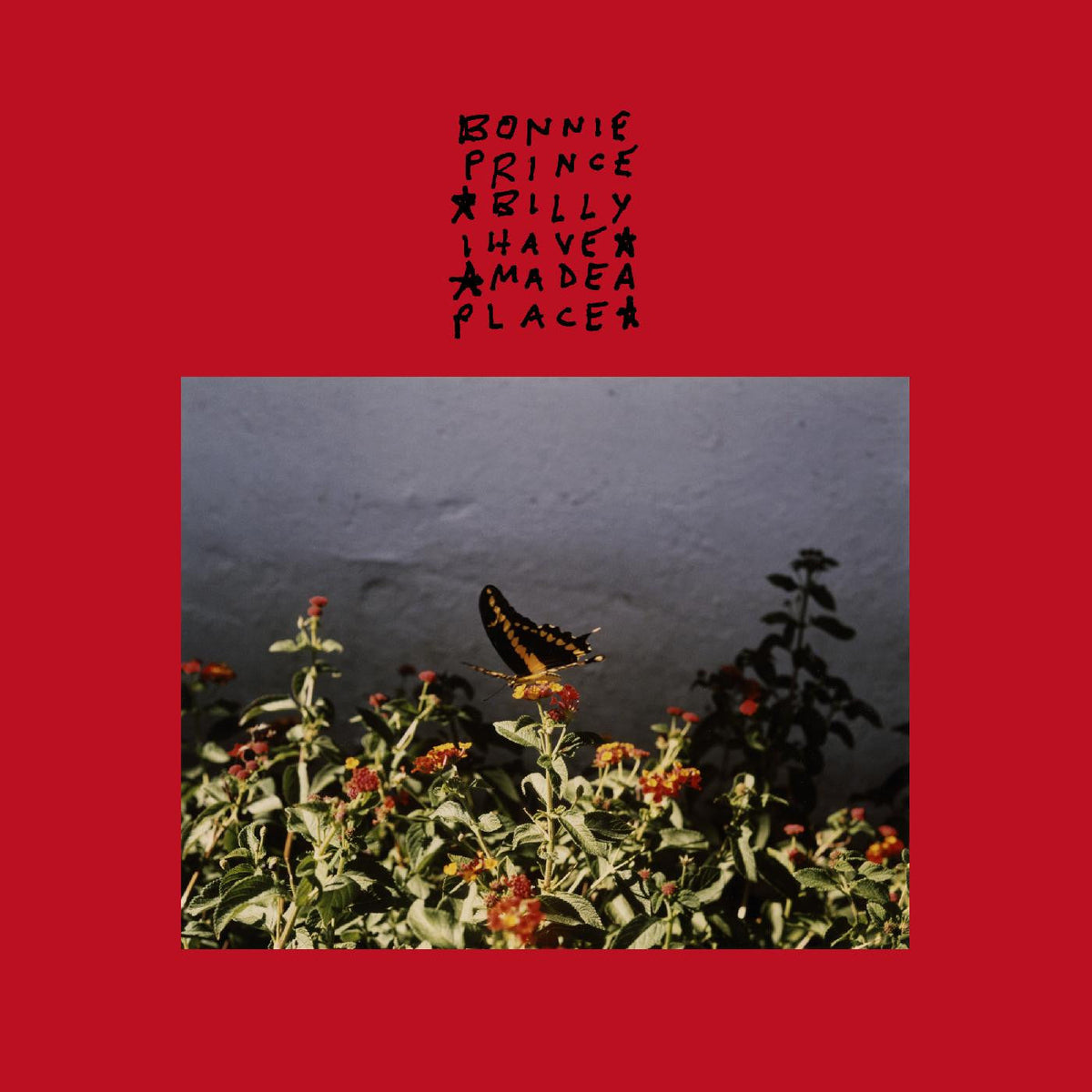 I Made a Place Vinyl Record