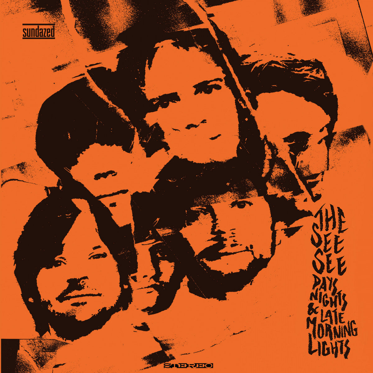 See See, The - Days, Nights & Late Morning Lights Vinyl Record