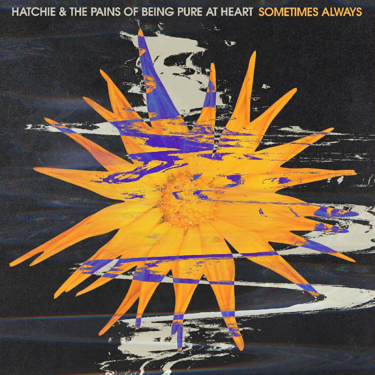 Hatchie & Pains Of Being Pure At Heart - Sometimes Always b/w Adored (Indie Exclusive, Purple Vinyl) Vinyl Record