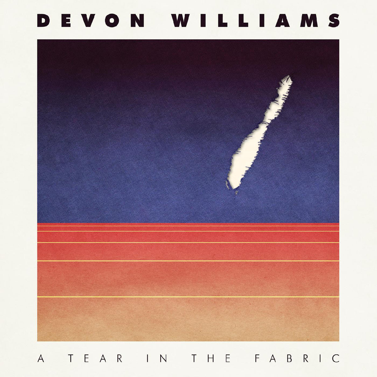 Devon Williams - A Tear In The Fabric Vinyl Record
