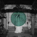 Alchera Vinyl Record