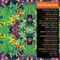 Kaleidoscope: New Spirits Known and Unknown Vinyl Record