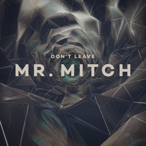 Mr. Mitch - Don't Leave - 12" Vinyl Record